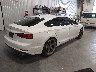 WAUB4CF51KA****** Salvamento y Destrozados 2019 Audi S5 en Estado de Colorado