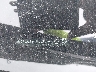 2T3W1RFV6LC****** Reparables 2020 Toyota RAV4