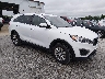 5XYPG4A34GG****** Salvamento y Destrozados 2016 Kia Sorento en Springfield