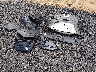 SHHFK7G41MU****** Destrozados 2021 Honda Civic en Estado de Carolina del Sur