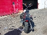 1HD1YJ913SB****** Salvamento y Reparables 2025 Harley-Davidson Street Bob en Estado de Oregón