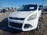 1FMCU0GX9EU****** Usados y Reparables 2014 Ford Escape en Little Rock