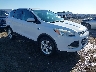 1FMCU0GX9EU****** Salvamento y Destrozados 2014 Ford Escape en Little Rock