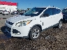 1FMCU0GX9EU****** Usados y Reparables 2014 Ford Escape en Little Rock