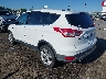 1FMCU0GX9EU****** Salvamento y Reparables 2014 Ford Escape en Little Rock
