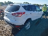 1FMCU0GX9EU****** Salvamento y Destrozados 2014 Ford Escape en Estado de Arkansas