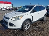 1FMCU0GX9EU****** Salvamento y Reparables 2014 Ford Escape en Estado de Arkansas
