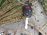 JHLRE48787C****** Salvage 2007 Honda CR-V in Mississippi State