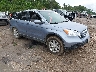 JHLRE48787C****** Salvage and Wrecked 2007 Honda CR-V in Jackson