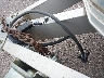 AAVZ*** Salvage 2005 Stealth 12 Ft Enclosed Trail in Sioux Falls