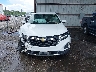 3GNAXKEG4RS****** Wrecked 2024 Chevrolet Equinox in Florida State