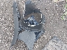 2C3CDZAG7MH****** Wrecked 2021 Dodge Challenger in Florida State