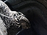 1GNKRGKD1GJ****** Salvage 2016 Chevrolet Traverse in Ohio State
