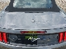 1FATP8UH7P5****** Usados 2023 Ford Mustang