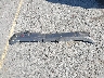 3N8AP6CB0SL****** Wrecked 2025 Nissan Kicks in Oregon State