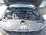 KMHLL4DG0SU****** Reparables 2025 Hyundai Elantra en Atlanta South