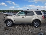 1FMCU9EG8BK****** Salvamento 2011 Ford Escape