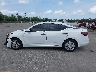3N1AB8BV2RY****** Repairable 2024 Nissan Sentra in Florida State