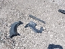 3N1CN7AP0GL****** Wrecked 2016 Nissan Versa in Iowa State