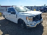 1FTFX1E82MF****** Salvage and Wrecked 2021 Ford F-150 in Spokane