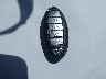 JN1FV7AP6KM****** Salvage 2019 Infiniti Q50 in California State