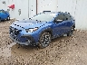 JF2GUHDC6SH****** Usados y Reparables 2025 Subaru Crosstrek en Flint