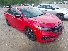 2HGFC2F89KH****** Salvage and Wrecked 2019 Honda Civic in Templeton