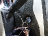 1FM5K7D89FG****** Salvage 2015 Ford Explorer in Texas State