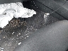 WBA8E9G51GN****** Salvage 2016 BMW 3 Series in Georgia State