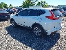 7FARW2H57KE****** Salvamento y Reparables 2019 Honda CR-V en Philadelphia