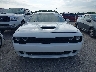 2C3CDZFJ3FH****** Destrozados 2015 Dodge Challenger en Estado de Florida