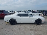 2C3CDZFJ3FH****** Usados 2015 Dodge Challenger en Estado de Florida