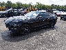 1FA6P8CF4M5****** Used and Repairable 2021 Ford Mustang in Lexington