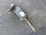 1G9CG2CD2NP****** Salvage 2022 Greenpower Motor Company Evc210 in California State