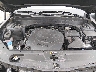 5XYP3DGC8PG****** Repairable 2023 Kia Telluride in Buckhannon
