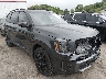 5XYP3DGC8PG****** Salvage and Wrecked 2023 Kia Telluride in Buckhannon