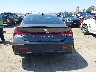KMHLM4DG6SU****** Destrozados 2025 Hyundai Elantra