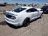 1FA6P8TH5K5****** Salvage and Wrecked 2019 Ford Mustang in New Mexico State