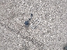 2FMGK5CC2BB****** Wrecked 2011 Ford Flex in Minnesota State
