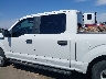 1FTEW1EP1GF****** Salvamento 2016 Ford F-150