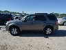 1FMCU0D75AK****** Used 2010 Ford Escape in Illinois State