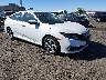2HGFC2F64LH****** Salvamento y Destrozados 2020 Honda Civic en Avenel New Jersey