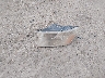 1C6RR7TT5HS****** Wrecked 2017 RAM 1500 in New Mexico State