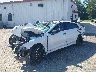 5XXG64J20RG****** Salvamento y Reparables 2024 Kia K5 en Estado de Virginia