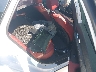 5XXG64J20RG****** Destrozados 2024 Kia K5 en Richmond
