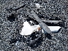 JTMRFREV2JJ****** Destrozados 2018 Toyota RAV4 en Estado de Maryland