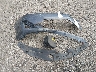4T4BF1FK5CR****** Wrecked 2012 Toyota Camry in Kansas State