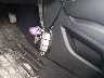 5N1AZ2MS1KN****** Salvage 2019 Nissan Murano in Ohio State