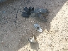2FMDK3JC0AB****** Destrozados 2010 Ford Edge en Estado de Texas