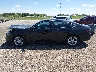 1HGCY1F23RA****** Salvage 2024 Honda Accord